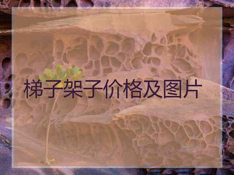 梯子架子价格及图片 梯子架子价格及图片