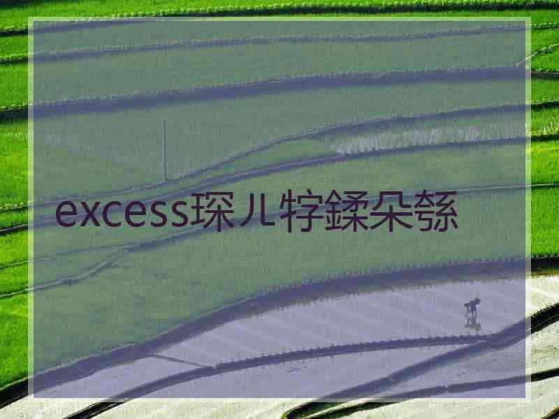 excess琛ㄦ牸鍒朵綔 excess琛ㄦ牸鍒朵綔