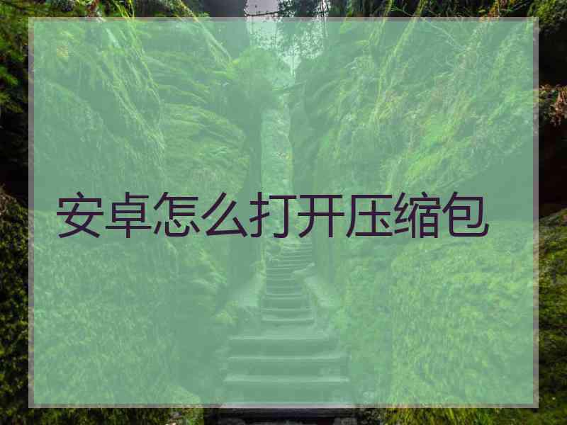 安卓怎么打开压缩包 安卓怎么打开压缩包