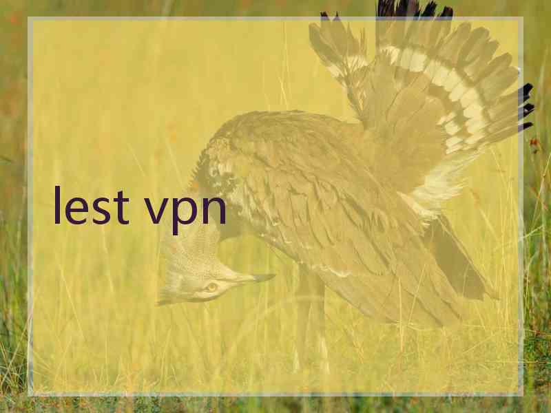 lest vpn lest vpn
