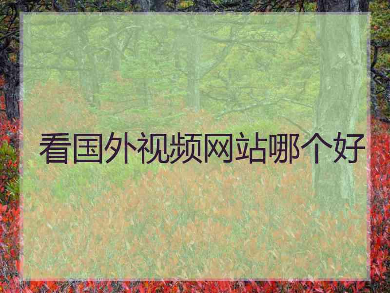 看国外视频网站哪个好 看国外视频网站哪个好