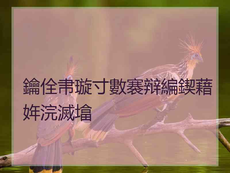 鑰佺帇璇寸數褰辩編鍥藉姩浣滅墖 鑰佺帇璇寸數褰辩編鍥藉姩浣滅墖