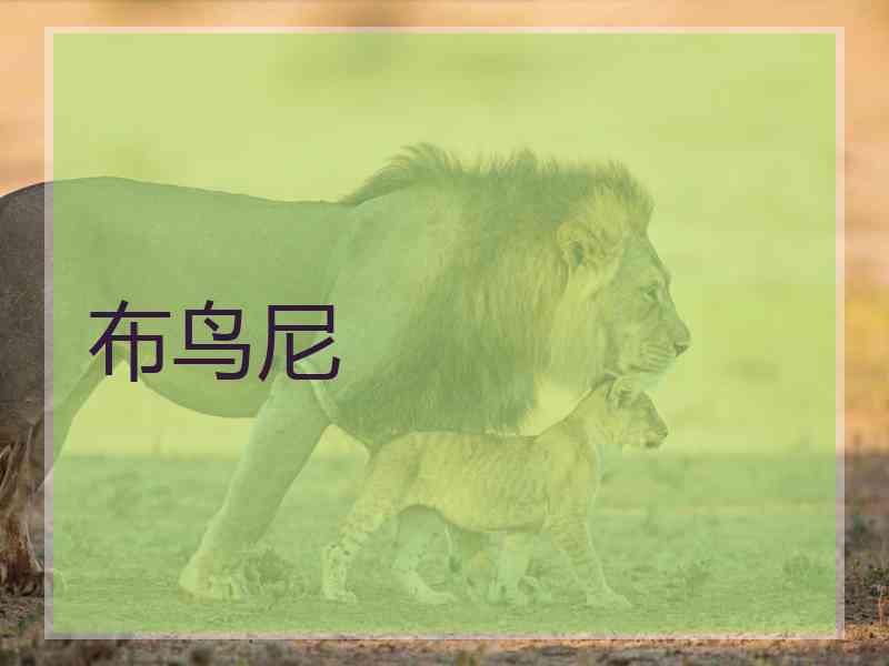 布鸟尼 布鸟尼