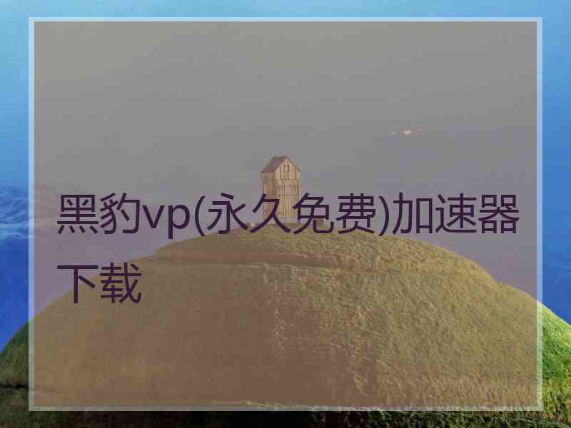 黑豹vp(永久免费)加速器下载 黑豹vp(永久免费)加速器下载
