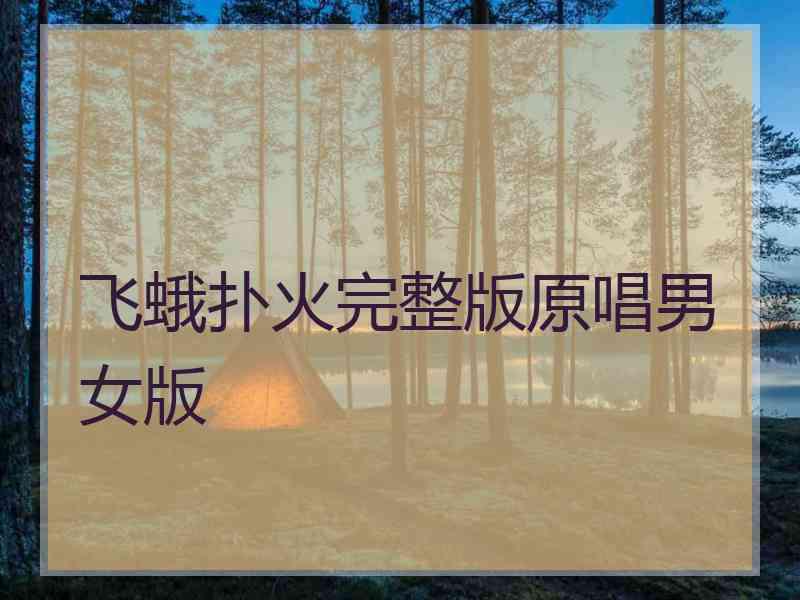 飞蛾扑火完整版原唱男女版 飞蛾扑火完整版原唱男女版