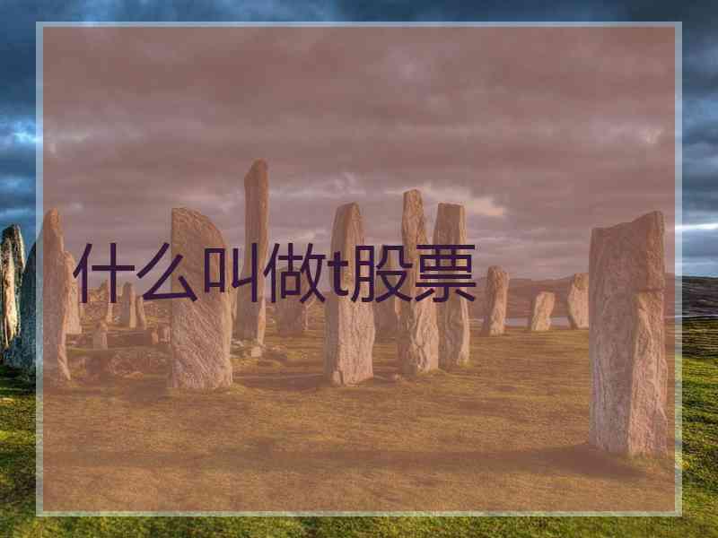 什么叫做t股票 什么叫做t股票