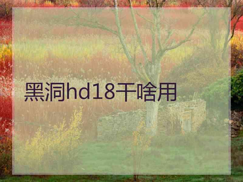 黑洞hd18干啥用 黑洞hd18干啥用