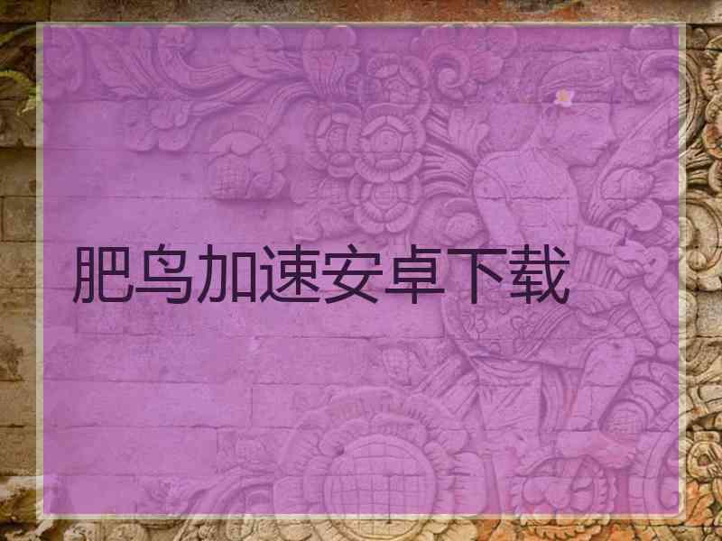 肥鸟加速安卓下载 肥鸟加速安卓下载