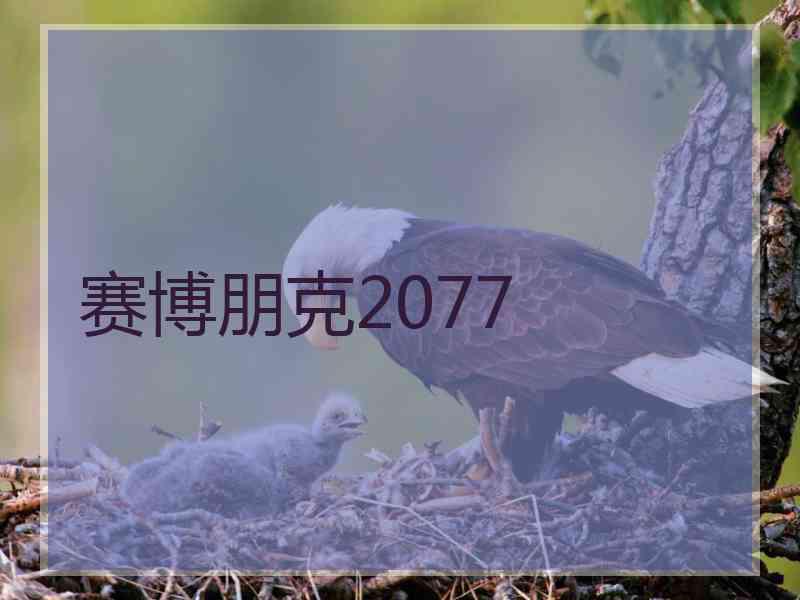 赛博朋克2077 赛博朋克2077