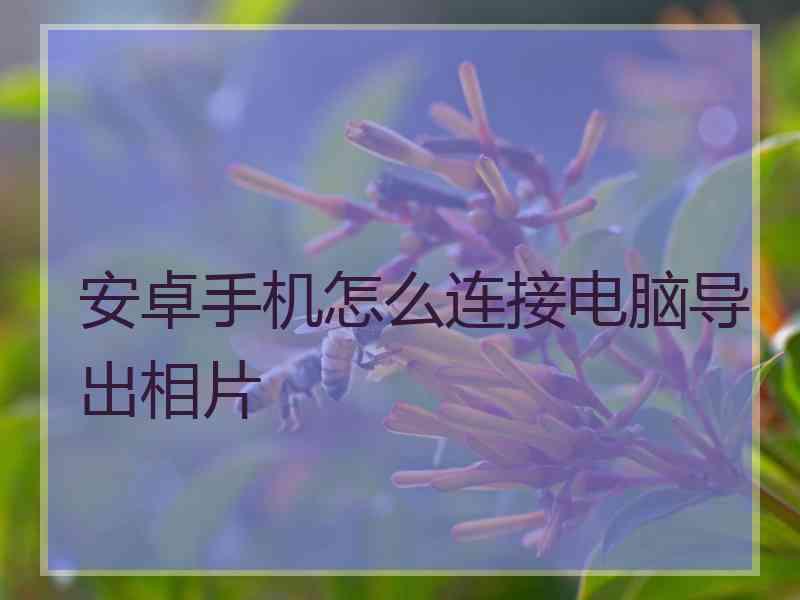 安卓手机怎么连接电脑导出相片 安卓手机怎么连接电脑导出相片