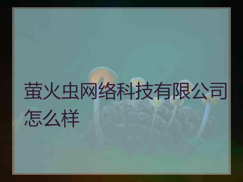 萤火虫网络科技有限公司怎么样 萤火虫网络科技有限公司怎么样