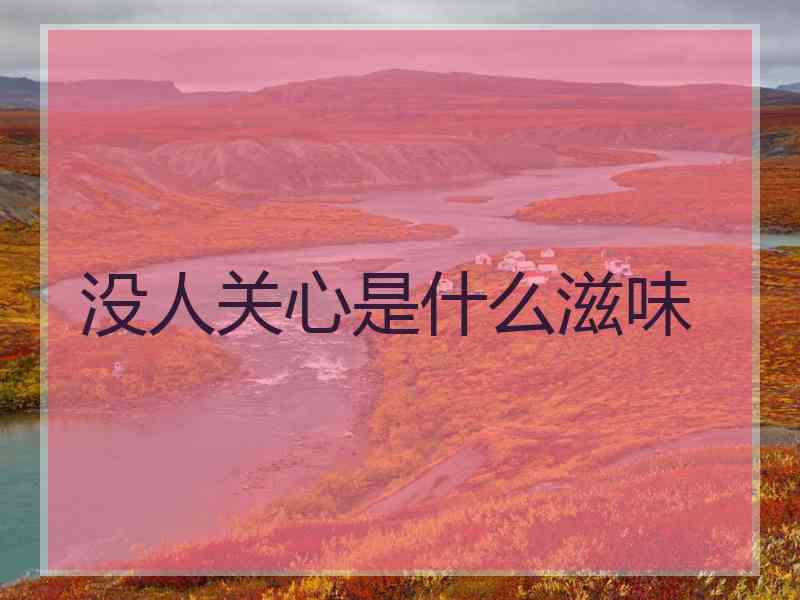 没人关心是什么滋味 没人关心是什么滋味