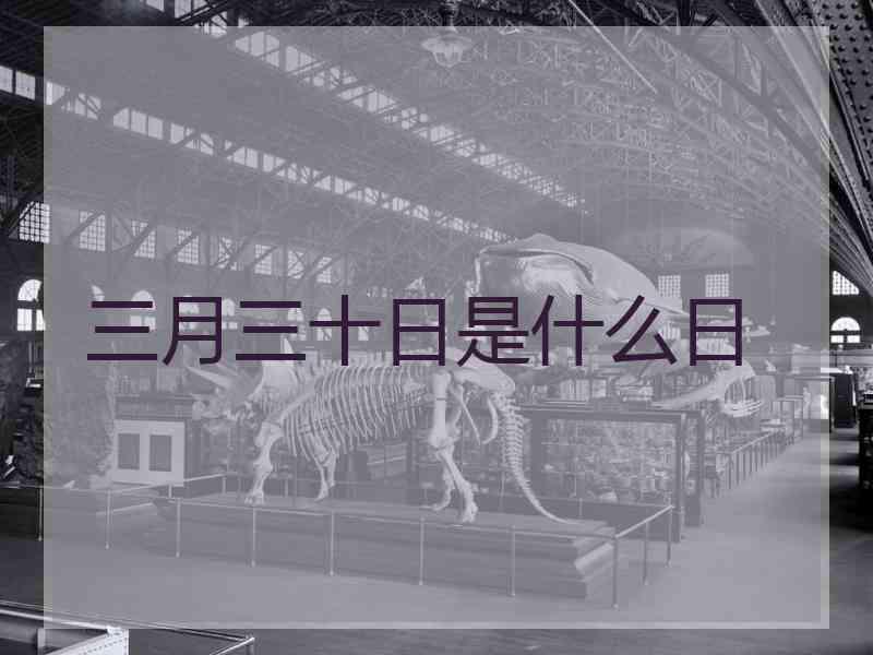 三月三十日是什么日 三月三十日是什么日