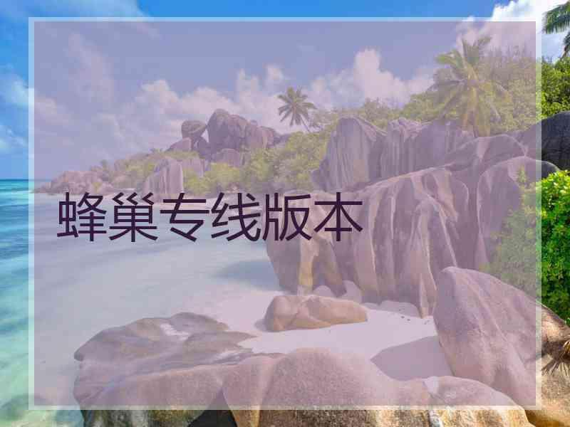 蜂巢专线版本 蜂巢专线版本