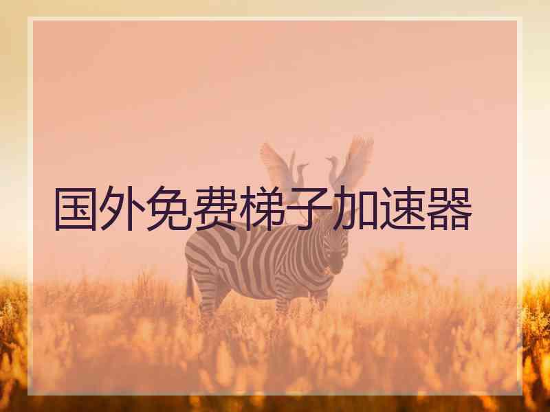 国外免费梯子加速器 国外免费梯子加速器