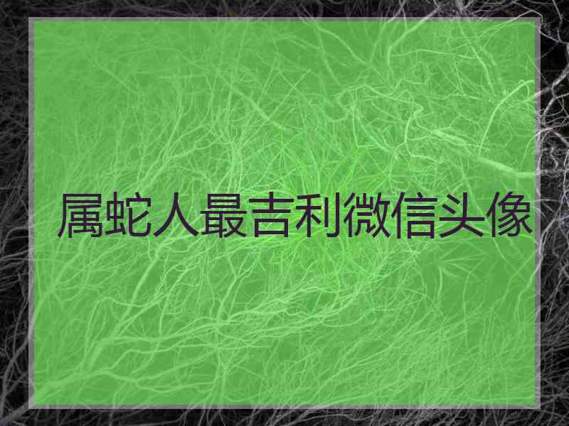 属蛇人最吉利微信头像 属蛇人最吉利微信头像