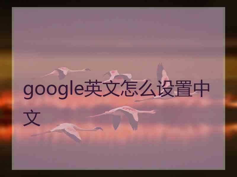 google英文怎么设置中文 google英文怎么设置中文