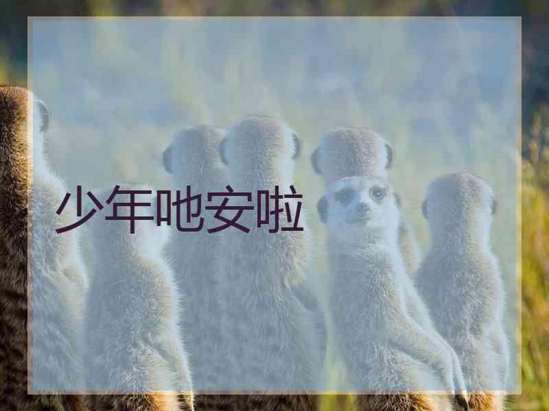 少年吔安啦 少年吔安啦