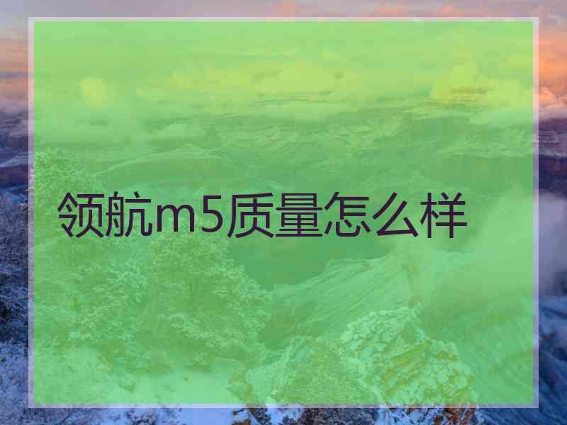 领航m5质量怎么样 领航m5质量怎么样