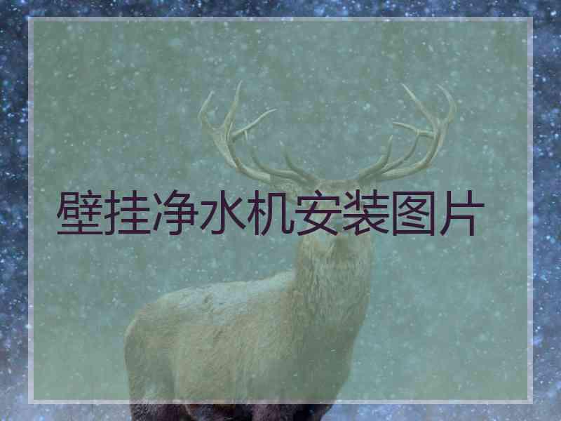 壁挂净水机安装图片 壁挂净水机安装图片