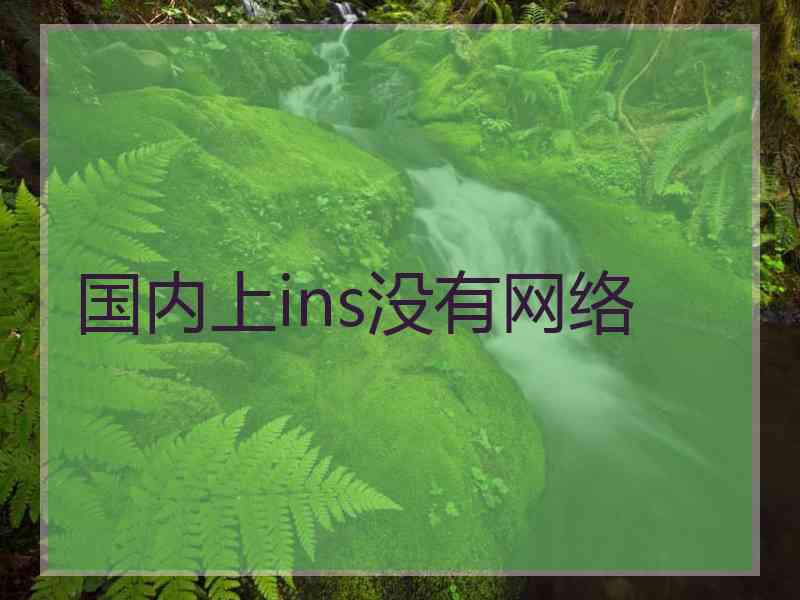 国内上ins没有网络 国内上ins没有网络