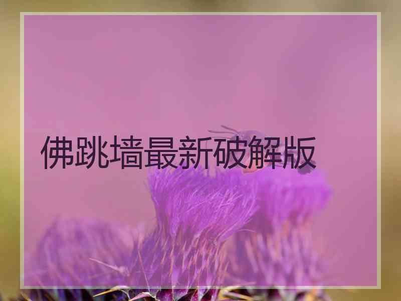 佛跳墙最新破解版 佛跳墙最新破解版