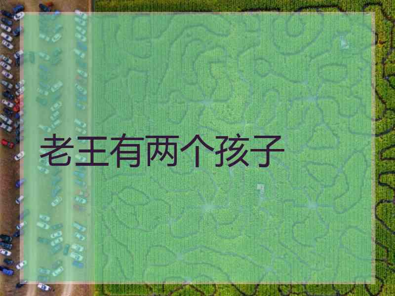 老王有两个孩子 老王有两个孩子