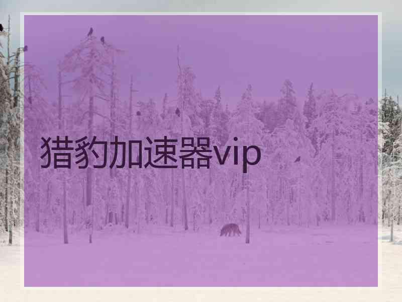 猎豹加速器vip 猎豹加速器vip