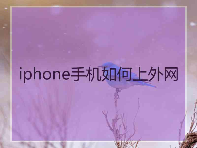 iphone手机如何上外网 iphone手机如何上外网