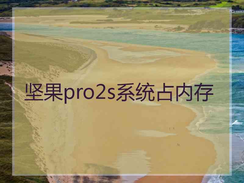 坚果pro2s系统占内存 坚果pro2s系统占内存