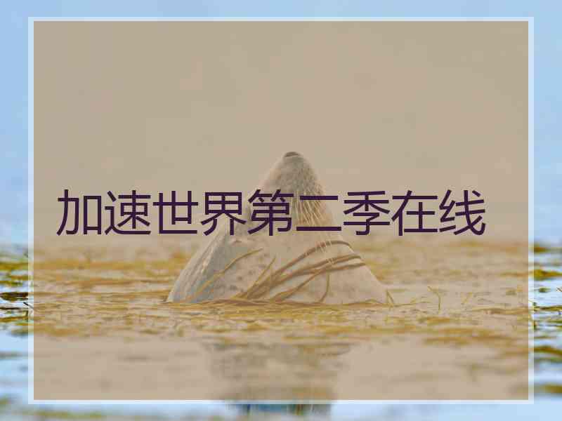 加速世界第二季在线 加速世界第二季在线