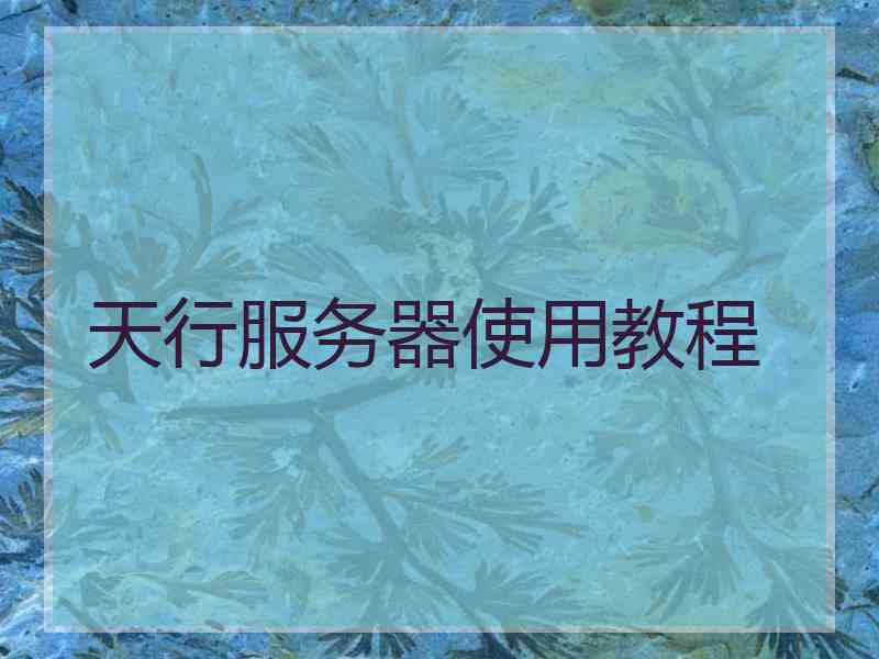 天行服务器使用教程 天行服务器使用教程