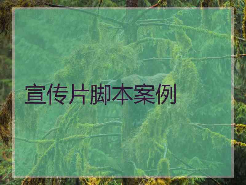 宣传片脚本案例 宣传片脚本案例