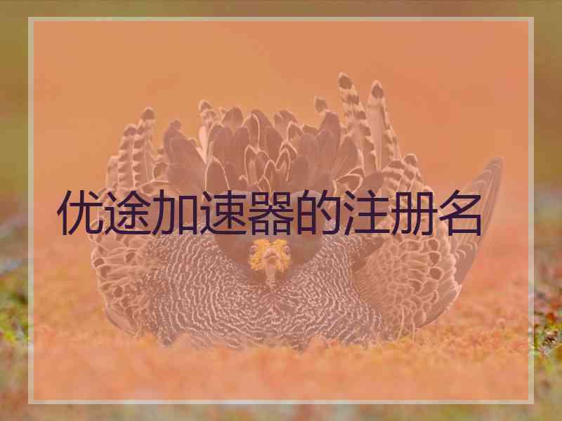 优途加速器的注册名 优途加速器的注册名