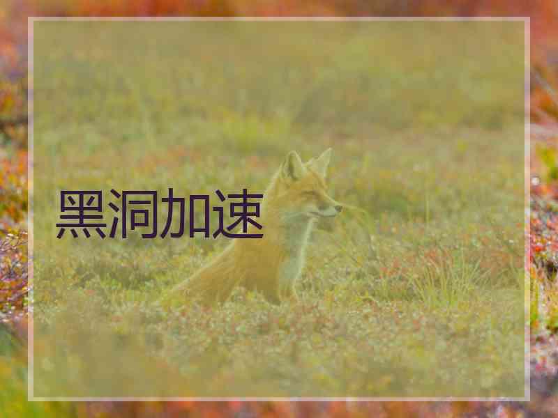 黑洞加速 黑洞加速