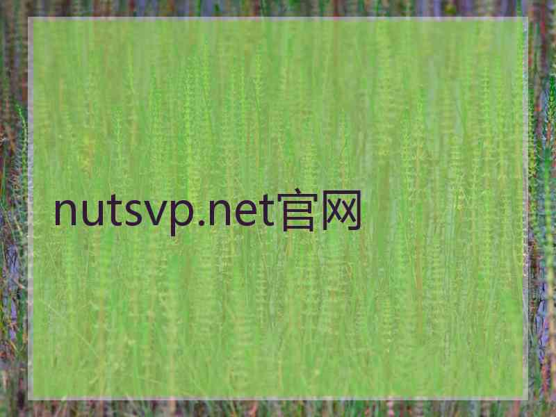 nutsvp.net官网 nutsvp.net官网
