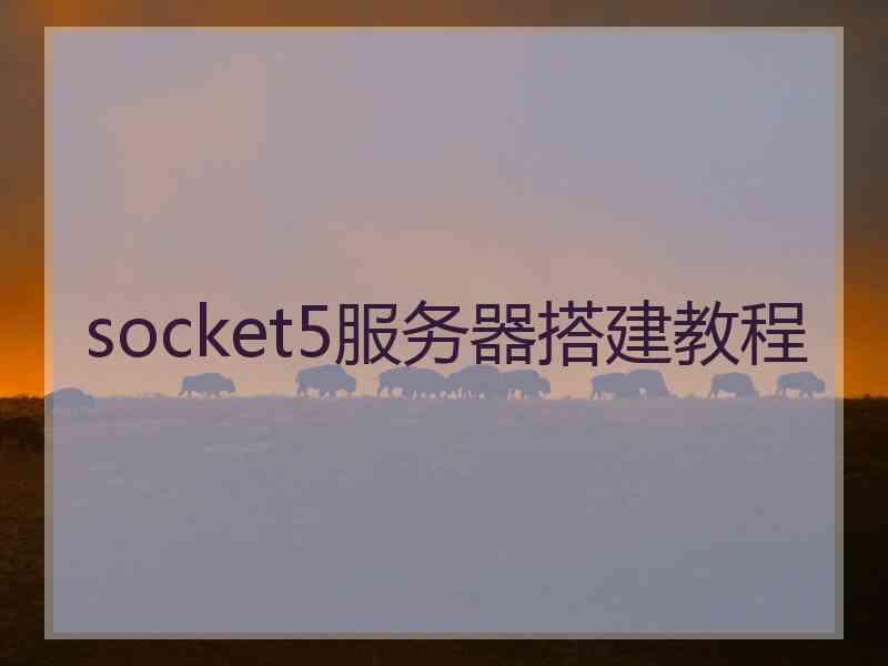 socket5服务器搭建教程 socket5服务器搭建教程
