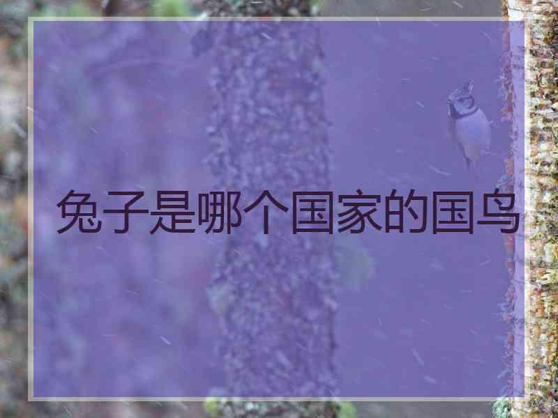 兔子是哪个国家的国鸟 兔子是哪个国家的国鸟