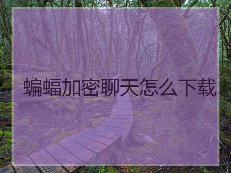 蝙蝠加密聊天怎么下载 蝙蝠加密聊天怎么下载