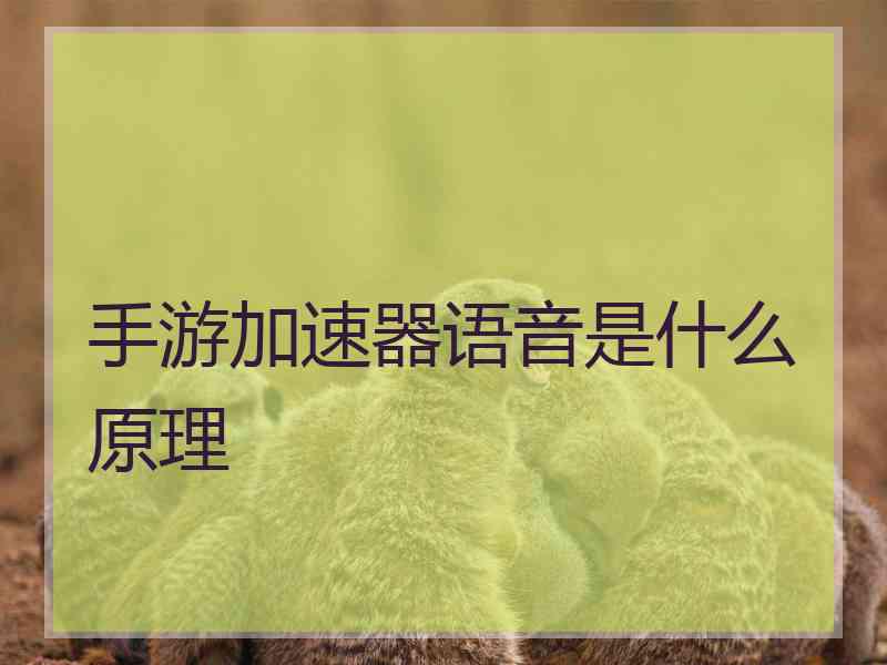 手游加速器语音是什么原理 手游加速器语音是什么原理