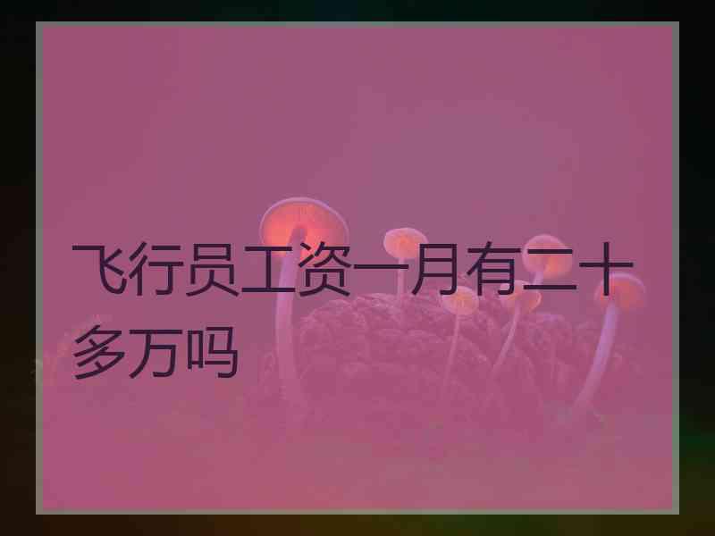 飞行员工资一月有二十多万吗 飞行员工资一月有二十多万吗
