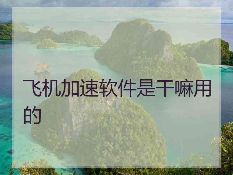 飞机加速软件是干嘛用的 飞机加速软件是干嘛用的