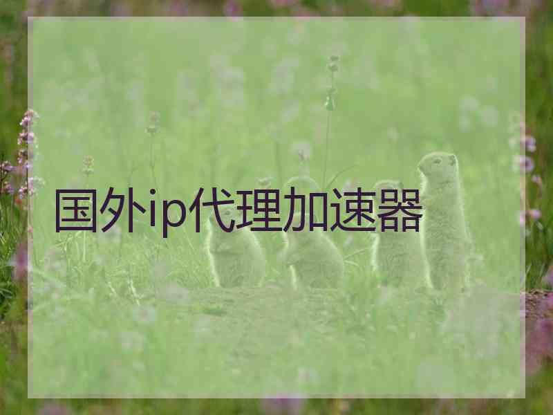 国外ip代理加速器 国外ip代理加速器