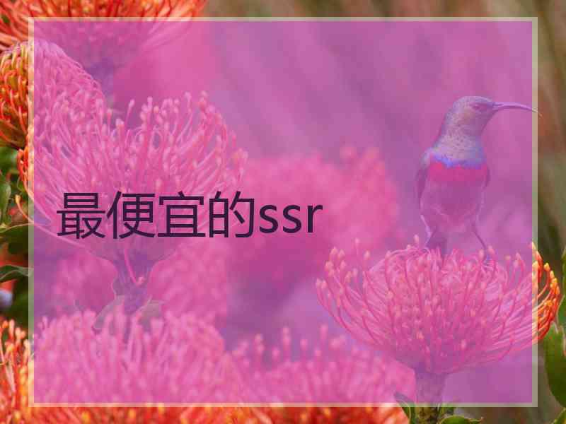 最便宜的ssr 最便宜的ssr
