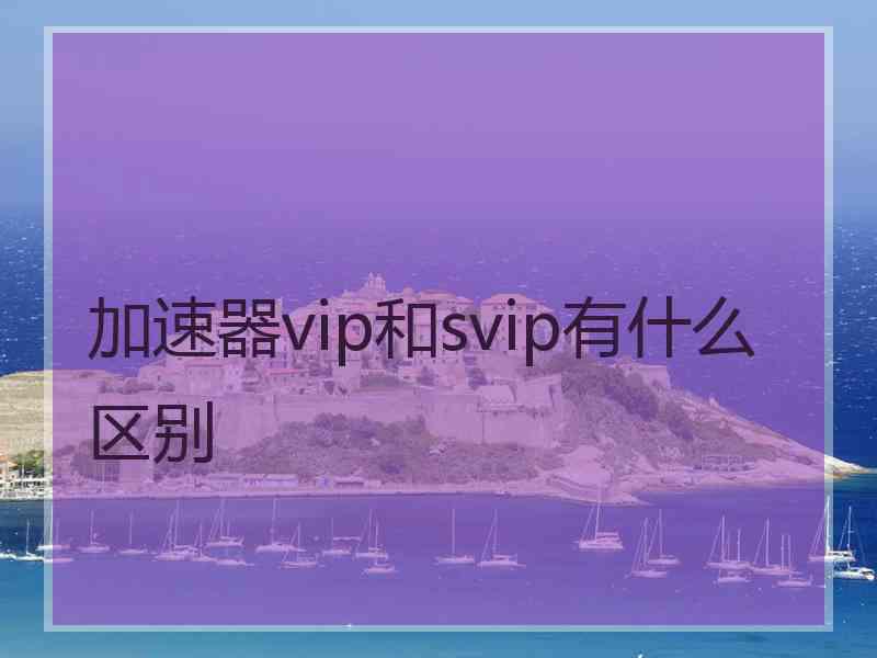 加速器vip和svip有什么区别 加速器vip和svip有什么区别