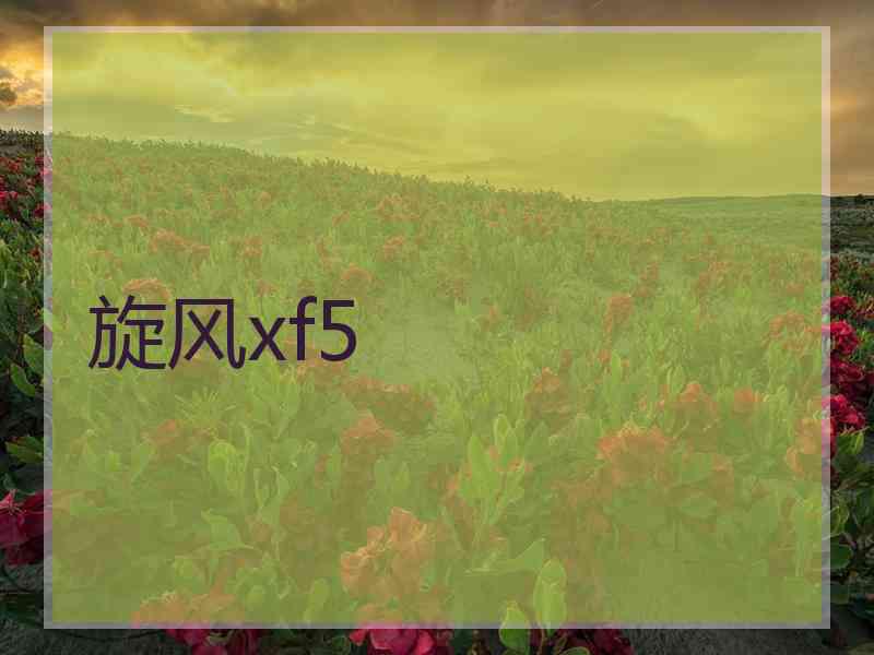 旋风xf5 旋风xf5