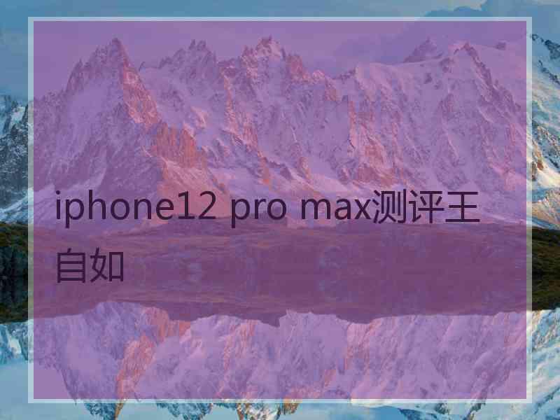 iphone12 pro max测评王自如 iphone12 pro max测评王自如