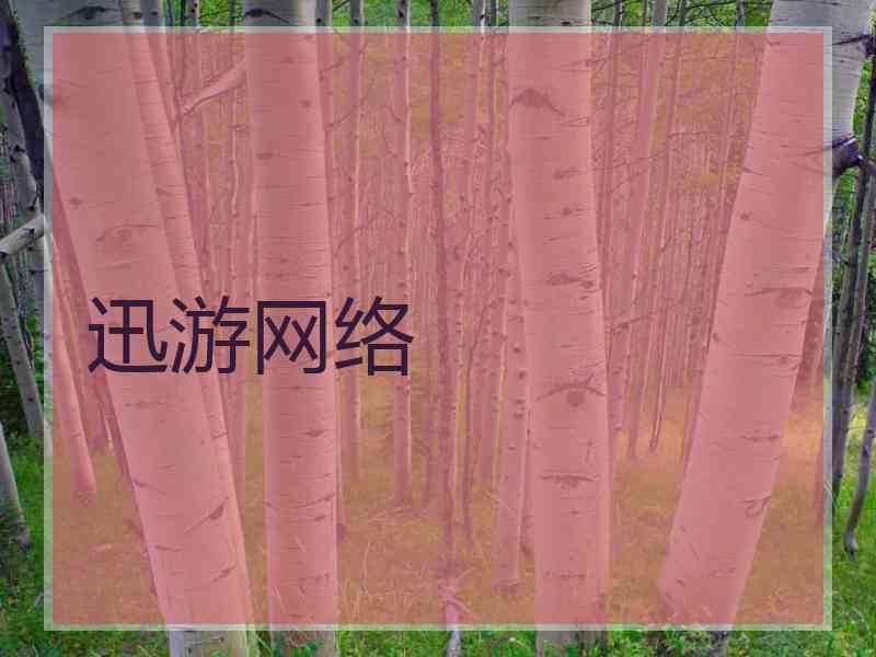 迅游网络 迅游网络