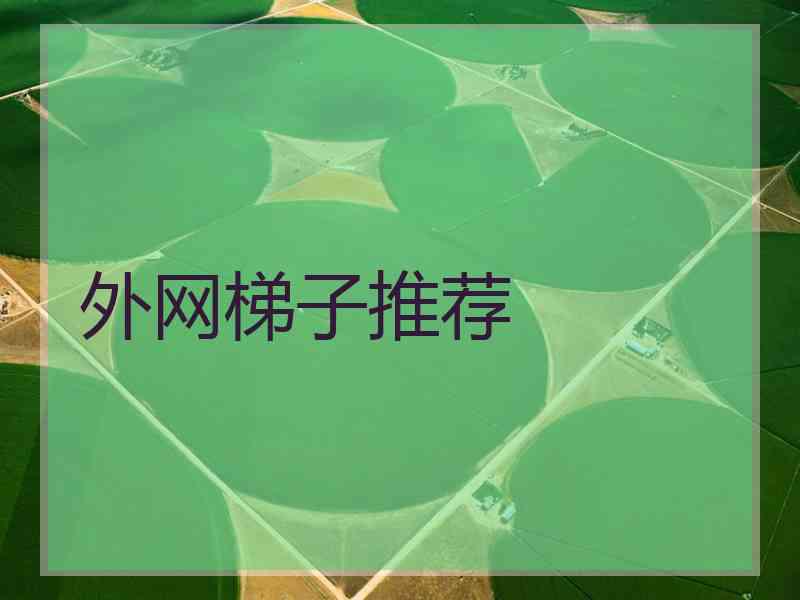 外网梯子推荐 外网梯子推荐