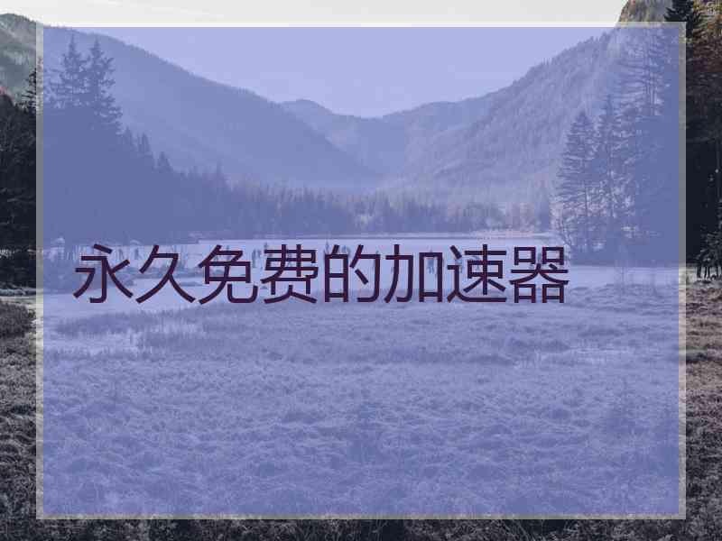 永久免费的加速器 永久免费的加速器